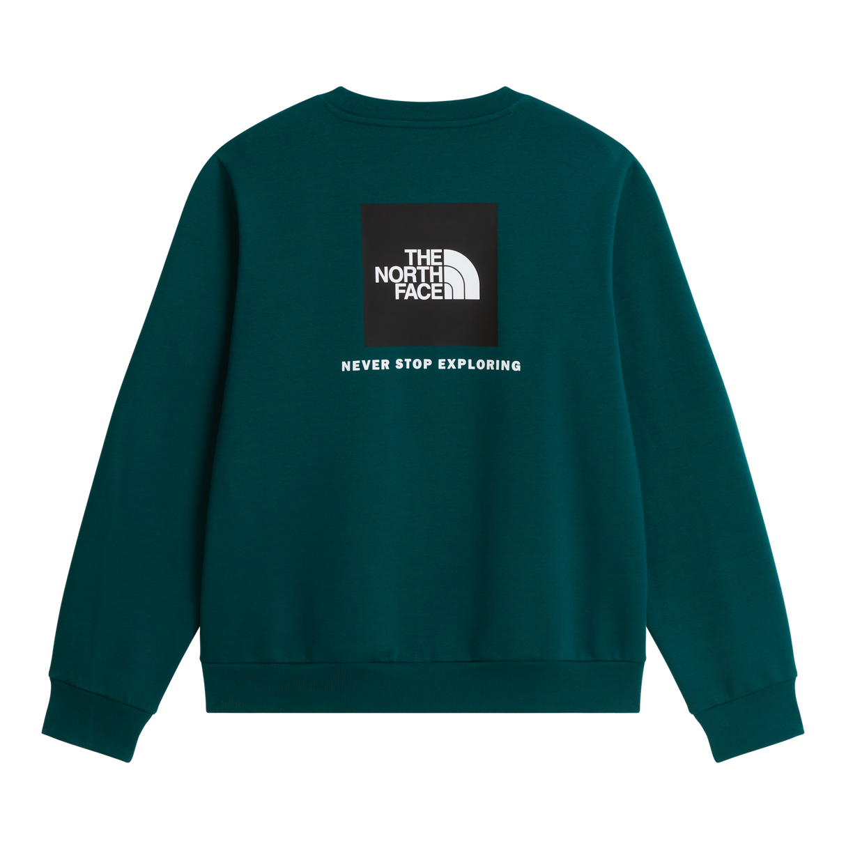 The North Face - Evolution Box Nse Regular Crew da uomo - Pacific Teal - vista alternativa 1