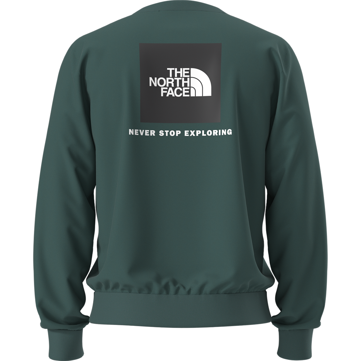 The North Face - Evolution Box Nse Regular Crew da uomo - Pacific Teal - vista alternativa 10