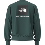 The North Face - Evolution Box Nse Regular Crew da uomo - Pacific Teal - vista alternativa 10