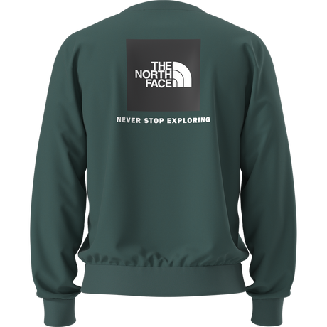 The North Face - Evolution Box Nse Regular Crew da uomo - Pacific Teal - vista alternativa 10