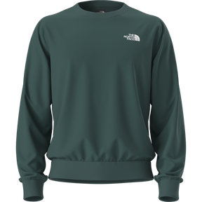 The North Face - Evolution Box Nse Regular Crew da uomo - Pacific Teal - vista alternativa 11