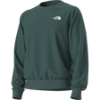 The North Face - Evolution Box Nse Regular Crew da uomo - Pacific Teal - vista alternativa 12