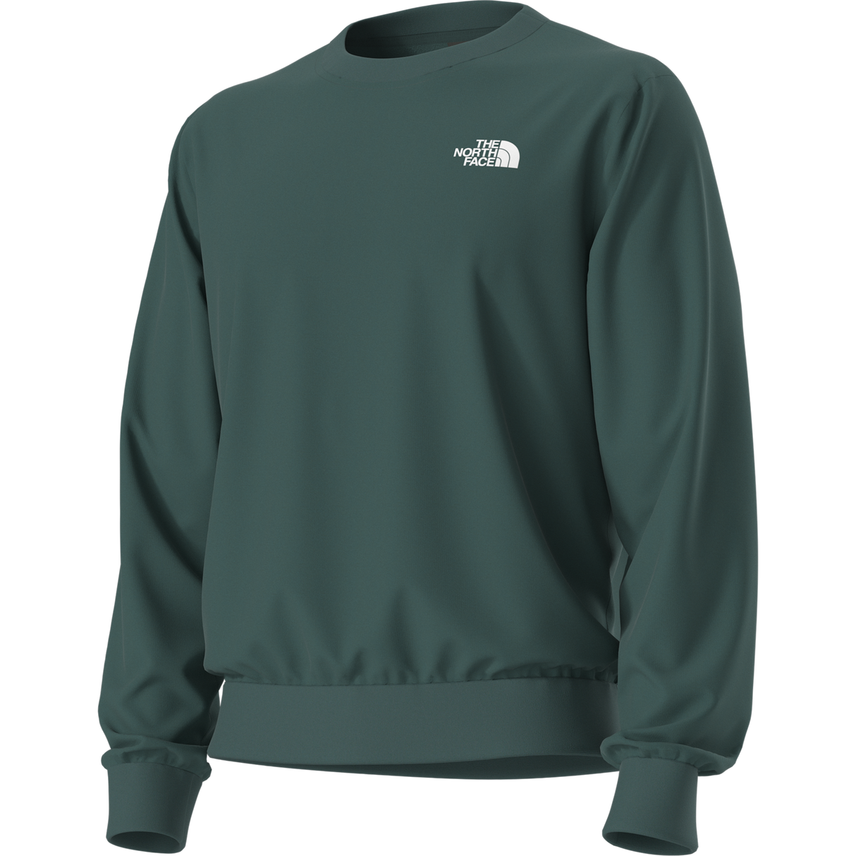 The North Face - Evolution Box Nse Regular Crew da uomo - Pacific Teal - vista alternativa 12