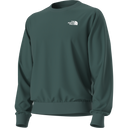 The North Face - Evolution Box Nse Regular Crew da uomo - Pacific Teal - vista alternativa 12