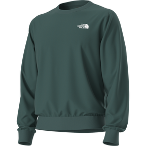 The North Face - Evolution Box Nse Regular Crew da uomo - Pacific Teal - vista alternativa 12