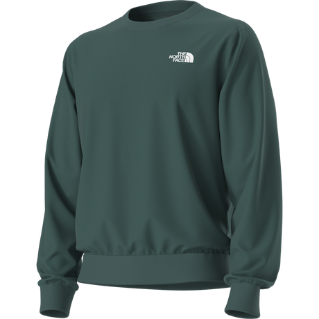The North Face - Evolution Box Nse Regular Crew da uomo - Pacific Teal - vista alternativa 12