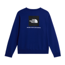 The North Face - Evolution Box Nse Regular Crew da uomo - SHQUAILGY/CLDGY - vista alternativa 1