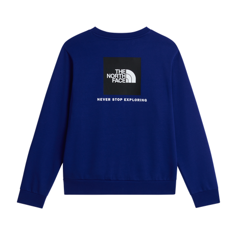 The North Face - Evolution Box Nse Regular Crew da uomo - SHQUAILGY/CLDGY - vista alternativa 1