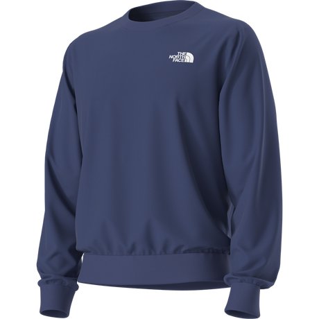 The North Face - Evolution Box Nse Regular Crew da uomo - SHQUAILGY/CLDGY - vista alternativa 2
