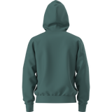 The North Face - TNF Essential Drew Peak Hoodie Caraway Seed da uomo - Pacific Teal - vista alternativa 11
