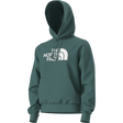 The North Face - TNF Essential Drew Peak Hoodie Caraway Seed da uomo - Pacific Teal - vista alternativa 12