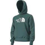 The North Face - TNF Essential Drew Peak Hoodie Caraway Seed da uomo - Pacific Teal - vista alternativa 12