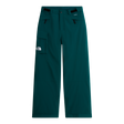 The North Face - Freedom Insulated Pant da uomo - Green - vista principale