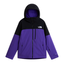 The North Face - Freedom Insulated Jacket da uomo - PURPLE - vista principale