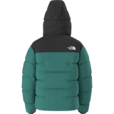 The North Face - Summit Nuptse Jacket da uomo - Restorative Teal/TNF Bl - vista alternativa 11