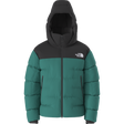 The North Face - Summit Nuptse Jacket da uomo - Green - vista principale