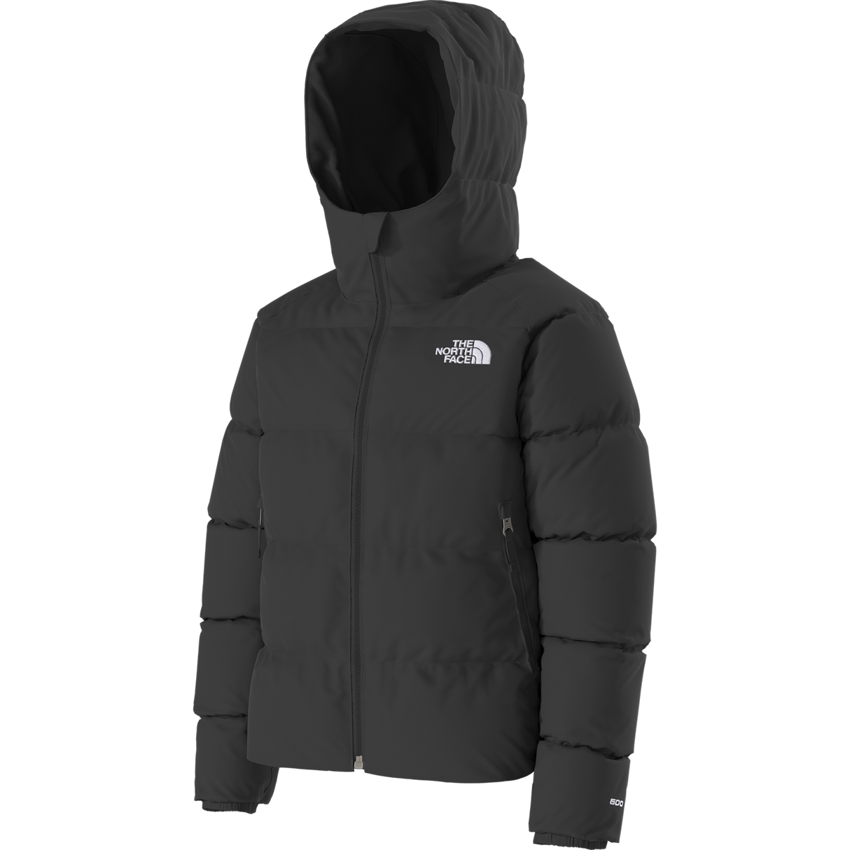 The North Face - G Hydrenalite Down Hooded Jacket - TNF BLACK - vista alternativa 2