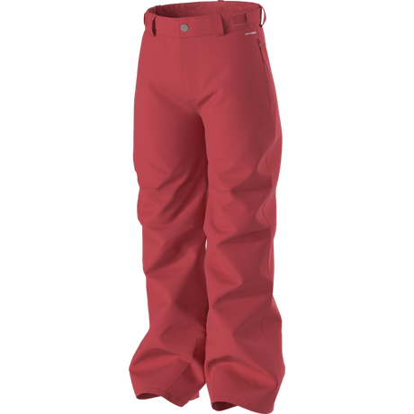 The North Face - B Freedom Insulated Pant - ELEVATION RED - vista alternativa 2