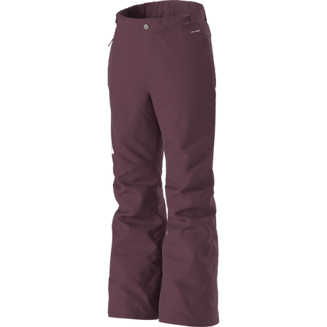 The North Face - G Freedom Insulated Pant - Burgundy Crush - vista alternativa 2