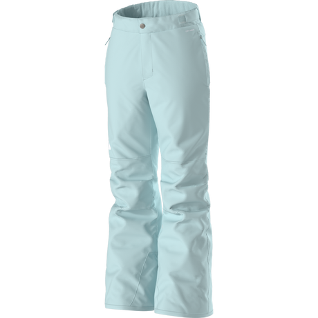 The North Face - G Freedom Insulated Pant - TNFWT/GRVP/GRVP - vista alternativa 2