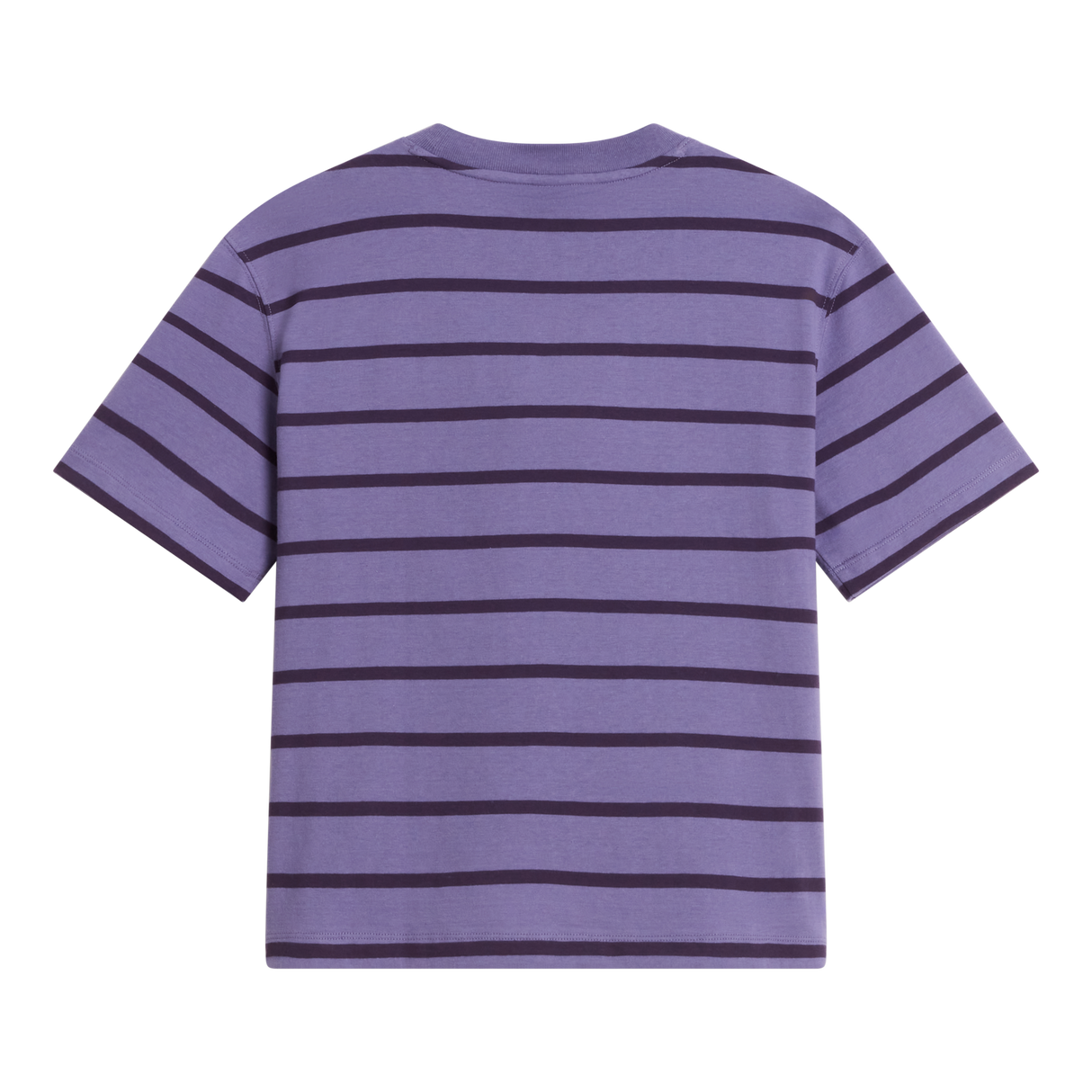 The North Face - Vista Stripe Short Sleeve Tee Grounded Plum da donna - SHFRSNTG/VNMYLW - vista alternativa 1
