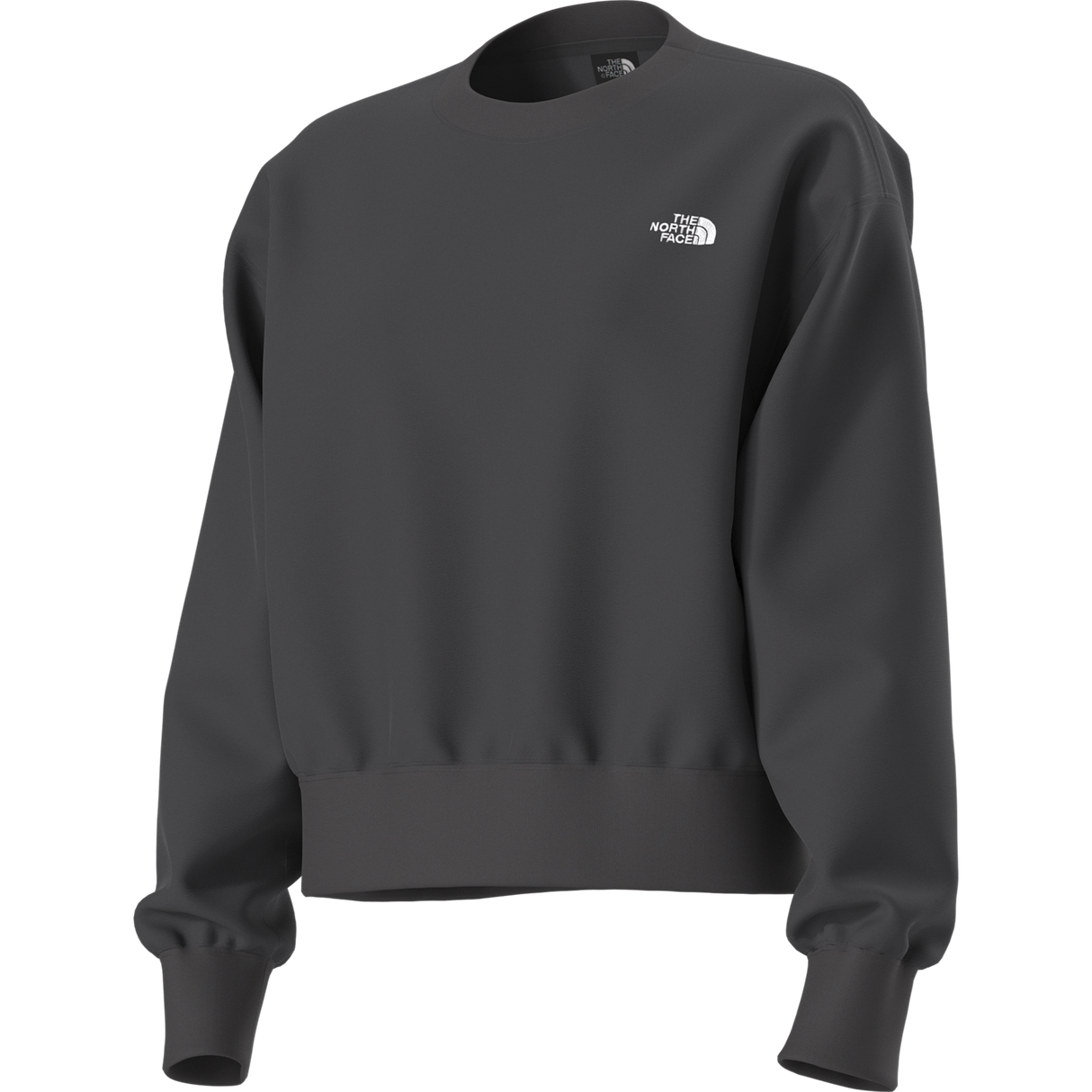 The North Face - Tnf Essential Simple Dome Boxy Os Crew da donna - TNF BLACK - vista alternativa 2