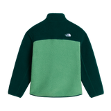 The North Face - Teen Yumiori 1/4 Zip Jacket - Dimmed Algae/Hunter Grey - vista alternativa 1
