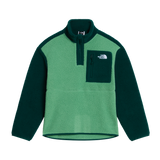 The North Face - Teen Yumiori 1/4 Zip Jacket - Dimmed Algae/Hunter Grey - vista principale