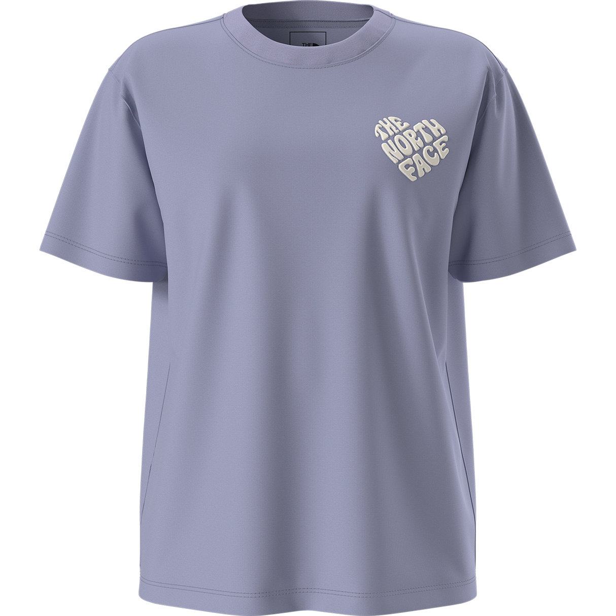The North Face - Teen G Brand Proud Relaxed Ss Tee - Gra - Pale Plum - vista alternativa 10