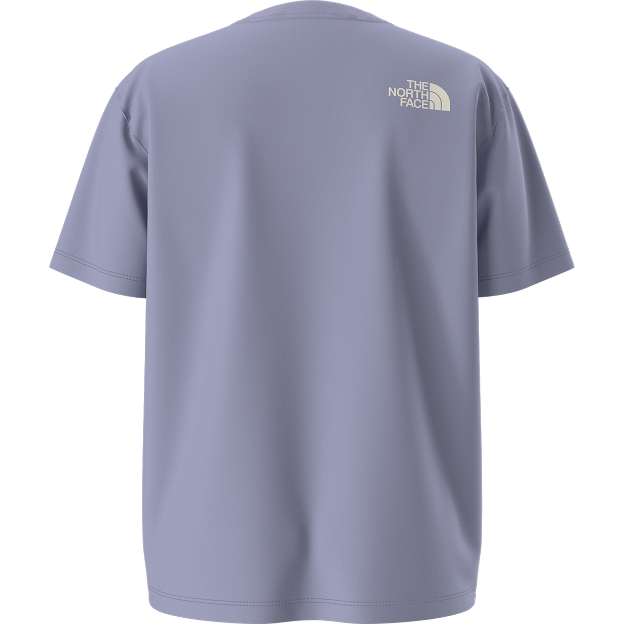 The North Face - Teen G Brand Proud Relaxed Ss Tee - Gra - Pale Plum - vista alternativa 11