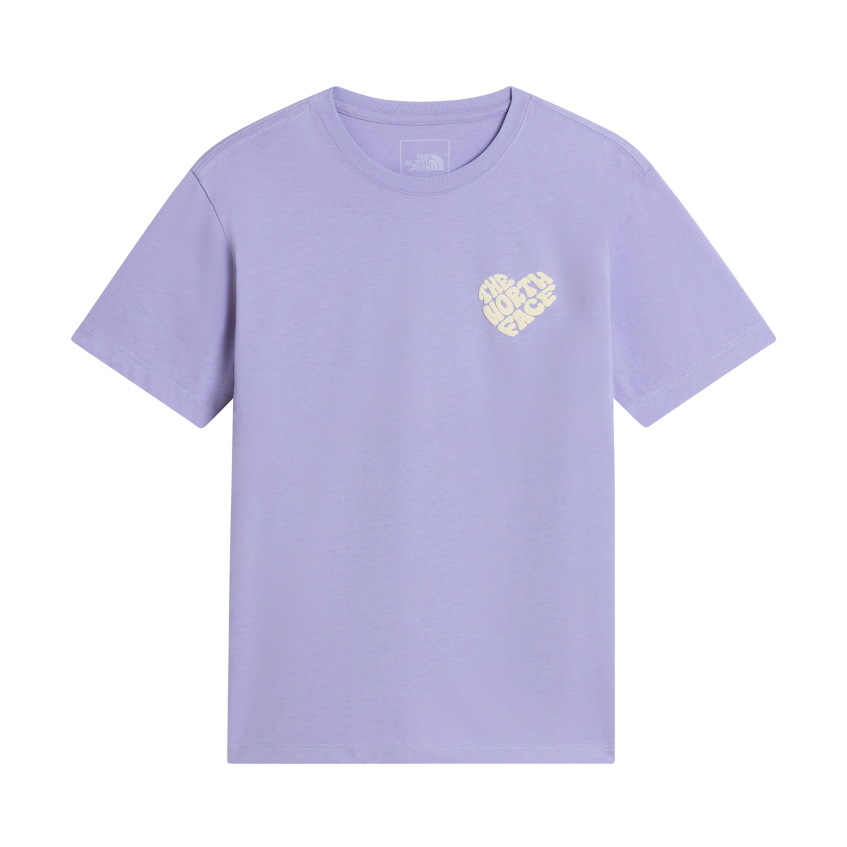 The North Face - Teen G Brand Proud Relaxed Ss Tee - Gra - Pale Plum - vista principale