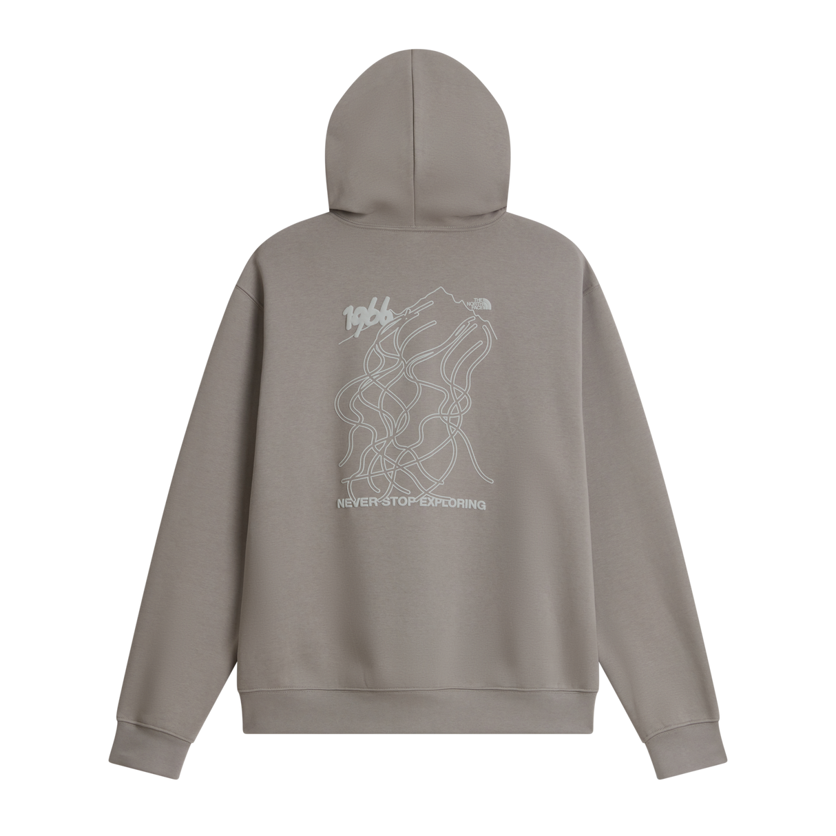 The North Face - Nse Slopes Relaxed Hoodie - Graphic unisex - Stone Slab - vista alternativa 1