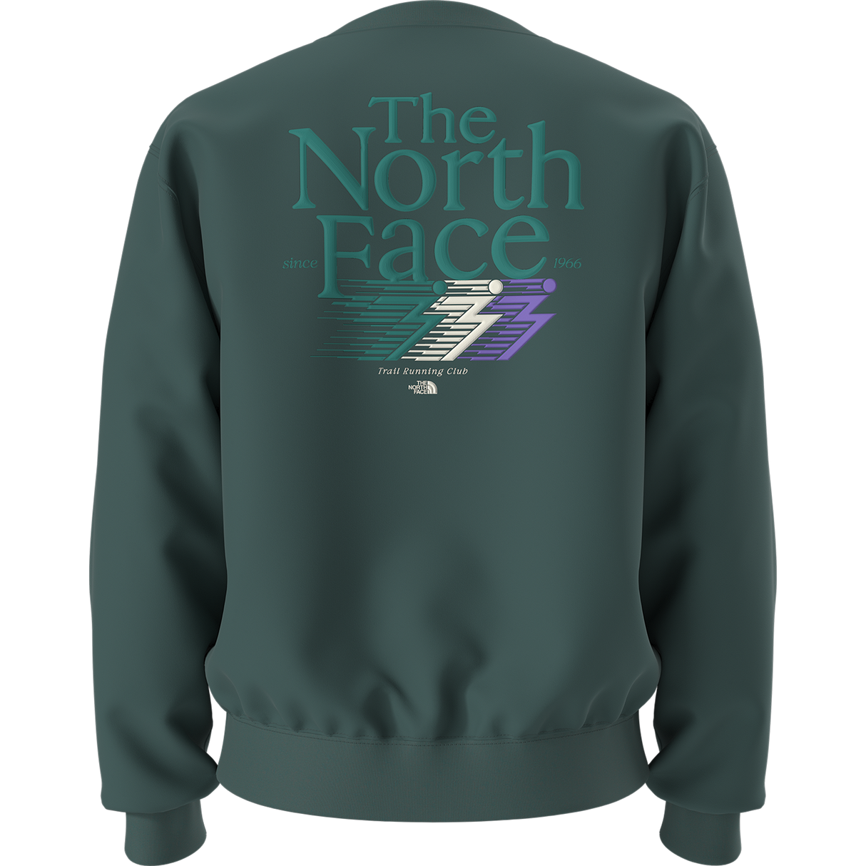 The North Face - Retro Trail Relaxed Crew - Graphic da uomo - Pacific Teal - vista alternativa 10