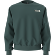 The North Face - Retro Trail Relaxed Crew - Graphic da uomo - Pacific Teal - vista alternativa 11