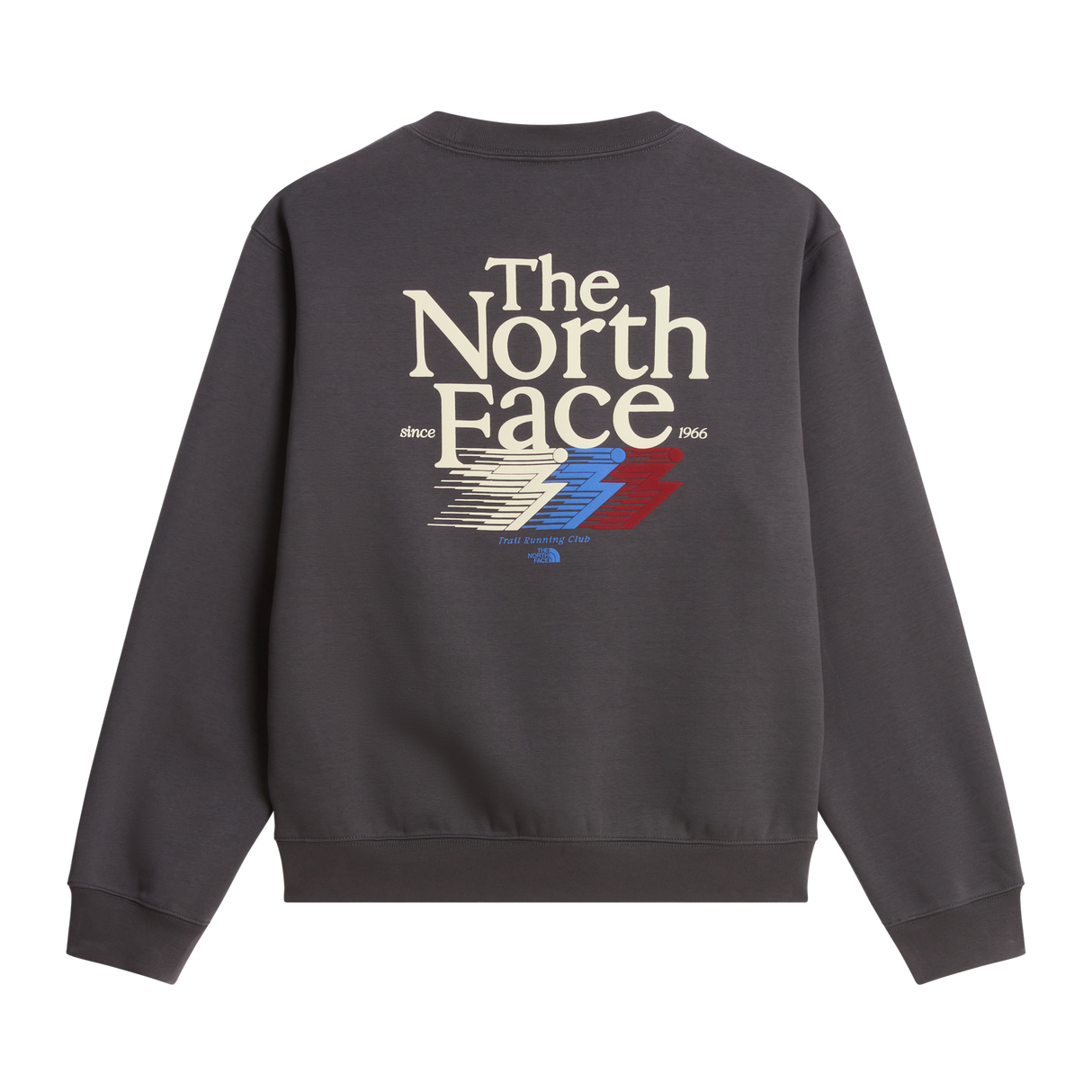 The North Face - Retro Trail Relaxed Crew - Graphic da uomo - ANTHRACITE GREY - vista alternativa 1