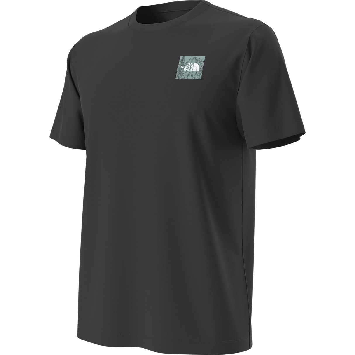 The North Face - Monte Reg Ss Tee-graphic da uomo - TNF BLACK - vista alternativa 12