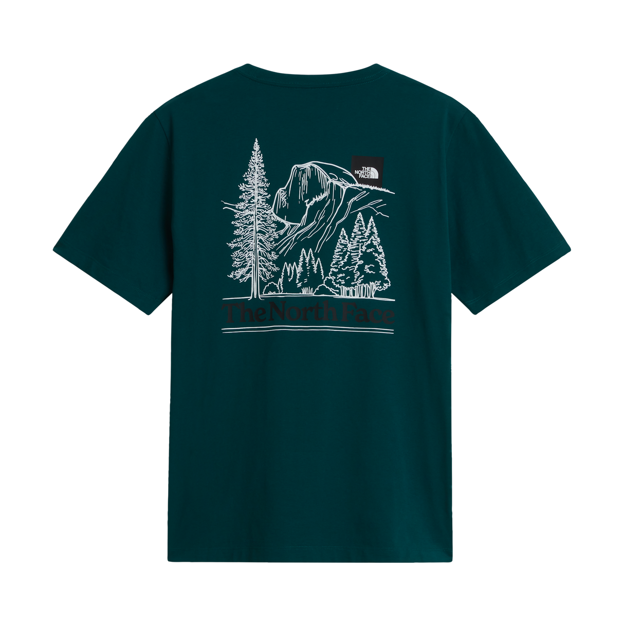 The North Face - Monte Reg Ss Tee-graphic da uomo - Pacific Teal - vista alternativa 1