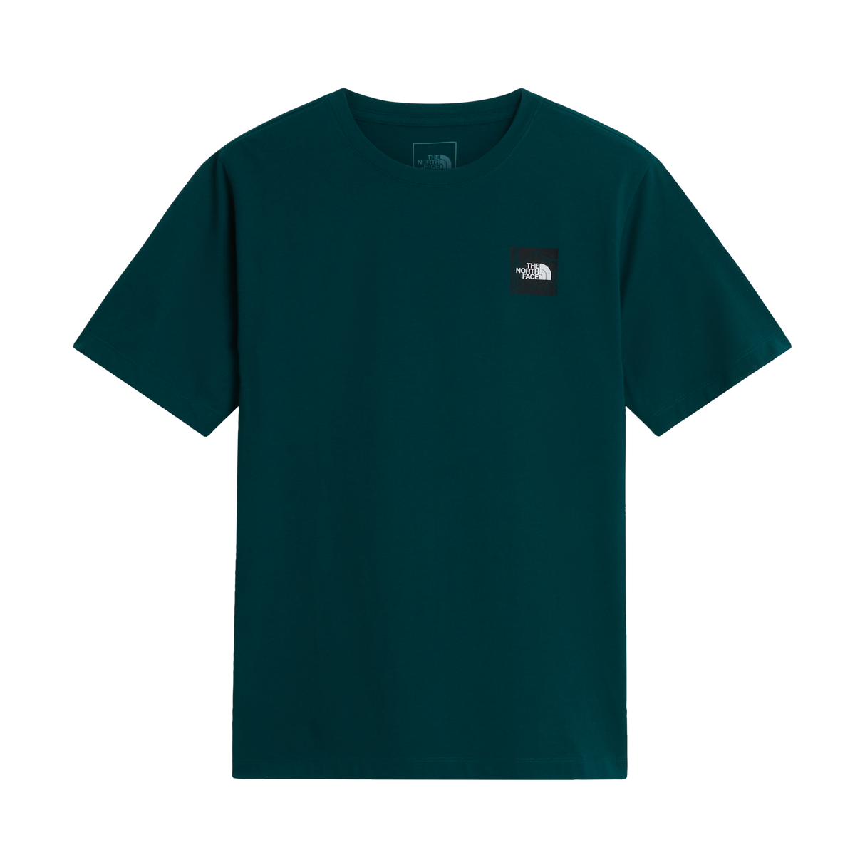 The North Face - Monte Reg Ss Tee-graphic da uomo - Pacific Teal - vista principale