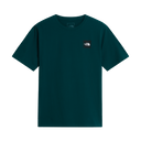 The North Face - Monte Reg Ss Tee-graphic da uomo - Green - vista principale