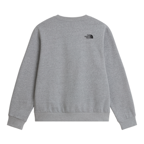 The North Face - Box Half Dome Regular Crew da uomo - TNF Pale Grey Heather - vista alternativa 1