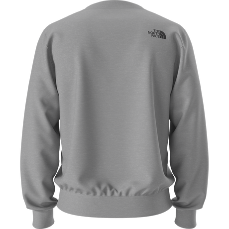The North Face - Box Half Dome Regular Crew da uomo - TNF Pale Grey Heather - vista alternativa 11