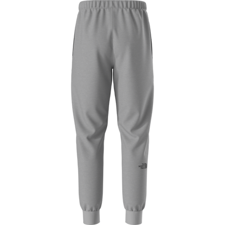 The North Face - Evo Box Half Dome Regular Tapered Jogg da uomo - TNF Pale Grey Heather - vista alternativa 11