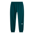 The North Face - Evo Box Half Dome Regular Tapered Jogg da uomo - Pacific Teal - vista alternativa 1