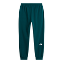 The North Face - Evo Box Half Dome Regular Tapered Jogg da uomo - Pacific Teal - vista alternativa 1