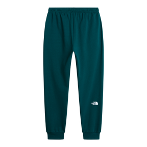 The North Face - Evo Box Half Dome Regular Tapered Jogg da uomo - Pacific Teal - vista alternativa 1