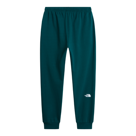 The North Face - Evo Box Half Dome Regular Tapered Jogg da uomo - Pacific Teal - vista alternativa 1