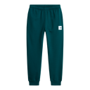 The North Face - Evo Box Half Dome Regular Tapered Jogg da uomo - Green - vista principale