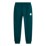 The North Face - Evo Box Half Dome Regular Tapered Jogg da uomo - Pacific Teal - vista principale