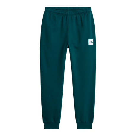 The North Face - Evo Box Half Dome Regular Tapered Jogg da uomo - Pacific Teal - vista principale