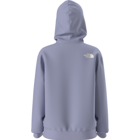 The North Face - Teen G Brand Proud Relaxed Hoodie - Gra - Pale Plum - vista alternativa 11